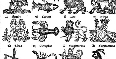 Tarot zodiaco-390x200 El zodiaco más antiguo Horóscopo